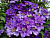 image_7681564_14919934