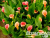 image_8096768_16087085 image_8096768_16087085