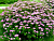 image_8165532_16177521