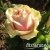 7fbef668045feed420b3e8e0b47abfea 7fbef668045feed420b3e8e0b47abfea
