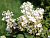 image_8165532_16177124