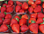 image_7681564_15014541