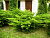 image_8255520_16358398