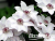 image_7681564_14948579
