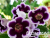 image_8096768_16082014