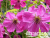 image_7681564_14920843 image_7681564_14920843