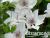 image_7681564_14978400 image_7681564_14978400
