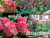 image_8165532_16176708 image_8165532_16176708