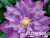 image_7681564_14979908 image_7681564_14979908
