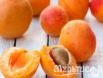 Дизайн без названия (30)