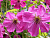 image_7681564_14920843