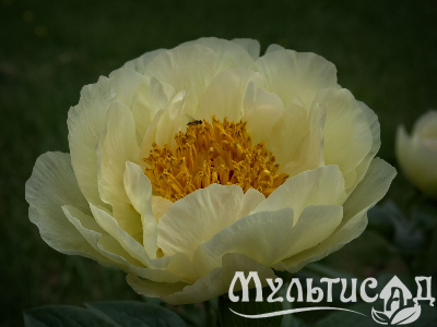 Креатив без названия (6)