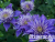 image_7681564_14978600 image_7681564_14978600