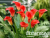 image_8096768_16085491 image_8096768_16085491