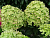 image_6895822_12900411