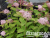 image_8165532_16177937 image_8165532_16177937