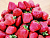 image_7681564_15012250
