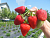 image_7681564_15014947