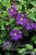 f17aedccf58aac40a15f7a708c04d0ac f17aedccf58aac40a15f7a708c04d0ac
