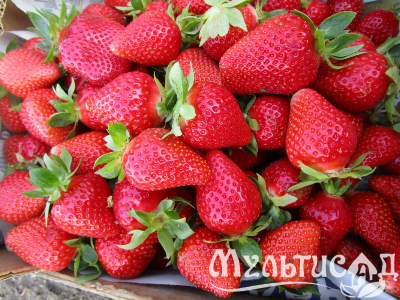 image_7681564_15014396