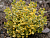 image_6893795_13560587