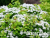 image_8165532_16177437