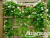 image_7681564_14884833