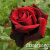 3a2o6gcqk2iqb5q98l013yagtunkmki2 3a2o6gcqk2iqb5q98l013yagtunkmki2