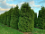 image_8255520_16356103