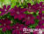 image_7681564_14978466 image_7681564_14978466