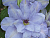 image_7681564_14920700