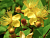image_8165532_16180481