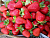 image_7681564_15014396