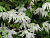 image_7681564_14884811