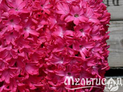 e84d96b8403abf3198a4b441cbbafa9a