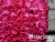 e84d96b8403abf3198a4b441cbbafa9a e84d96b8403abf3198a4b441cbbafa9a