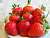 image_7681564_15015370 (1)