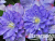 image_7681564_14920754 image_7681564_14920754
