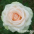 8posc7v0a40bbx79203tnr3w48jczjbe 8posc7v0a40bbx79203tnr3w48jczjbe
