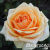 a86edbd7672915390199c76723ee16c5 a86edbd7672915390199c76723ee16c5