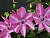 image_7681564_14920585