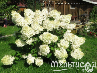 image_6895822_13179862