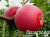 jine2bfwvawd285aqqnhfpgu832o101x