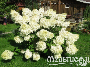 image_6895822_13179862