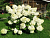 image_6895822_13179862