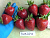 image_7681564_15013743