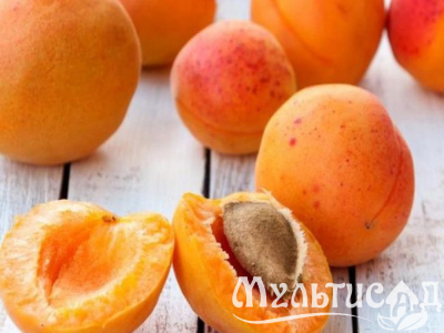 Дизайн без названия (30)