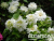 image_7681564_14948235 image_7681564_14948235
