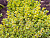 image_8165532_16201899