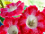 image_8096768_16080794
